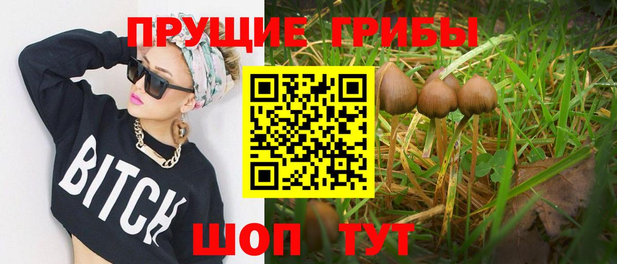 Псилоцибиновые грибы Magic Shrooms  Вход с VPN  Свободный 